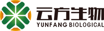 網站logo